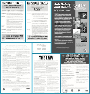 Example 6-in-1 federal poster image